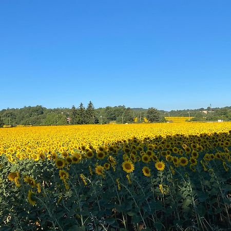 Alloggio Turistico La Balocca 蒙蒂菲阿斯科尼 外观 照片